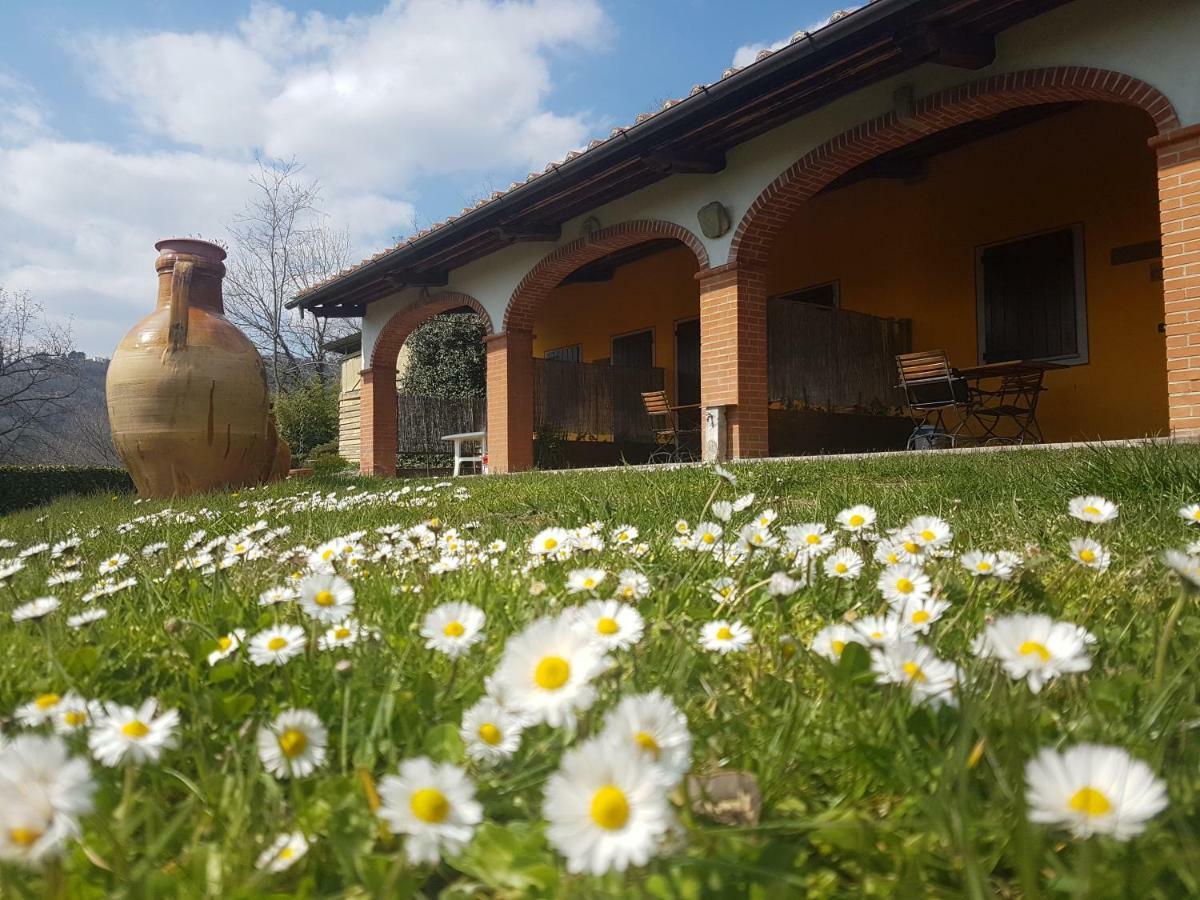 מונטה קטיני טרמה Agriturismo Il Pillone מראה חיצוני תמונה